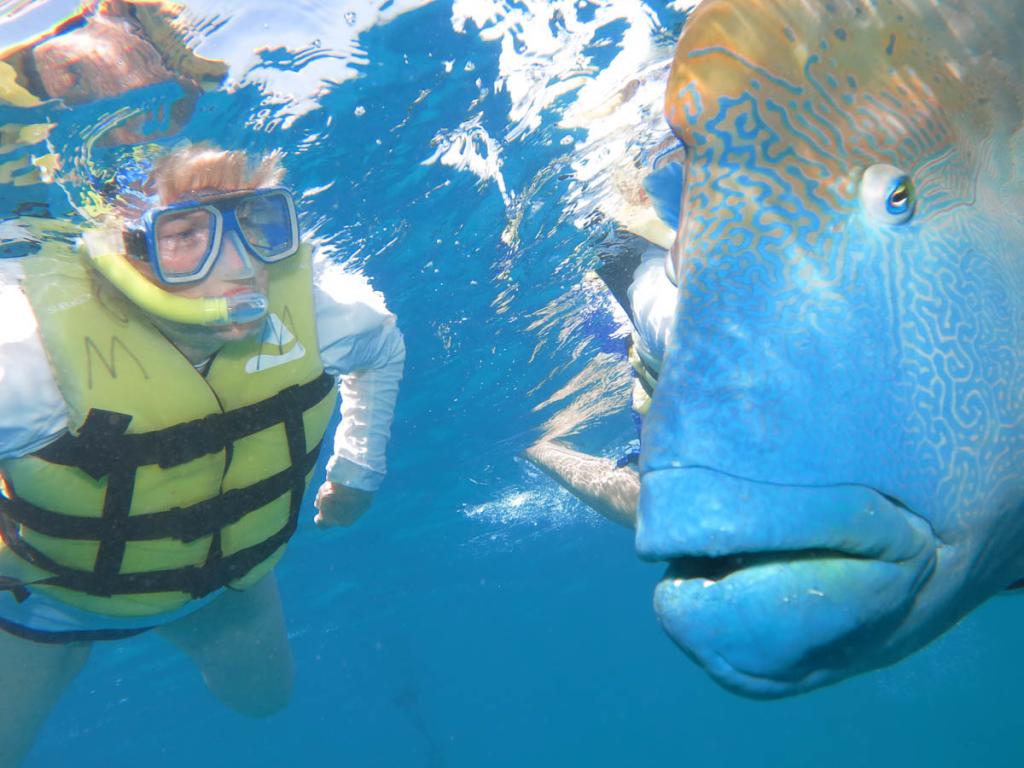 Great Barrier Reef Cruises and Green Island, Great Adventures